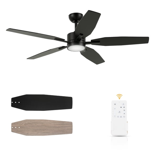 Ventilador de techo FANSHAIN 132 cm con luz y control remoto
