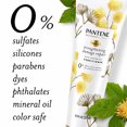 thumbnail image 5 of Pantene Sulfate Free Conditioner Hair Strengthening (Pack of 32), 5 of 9