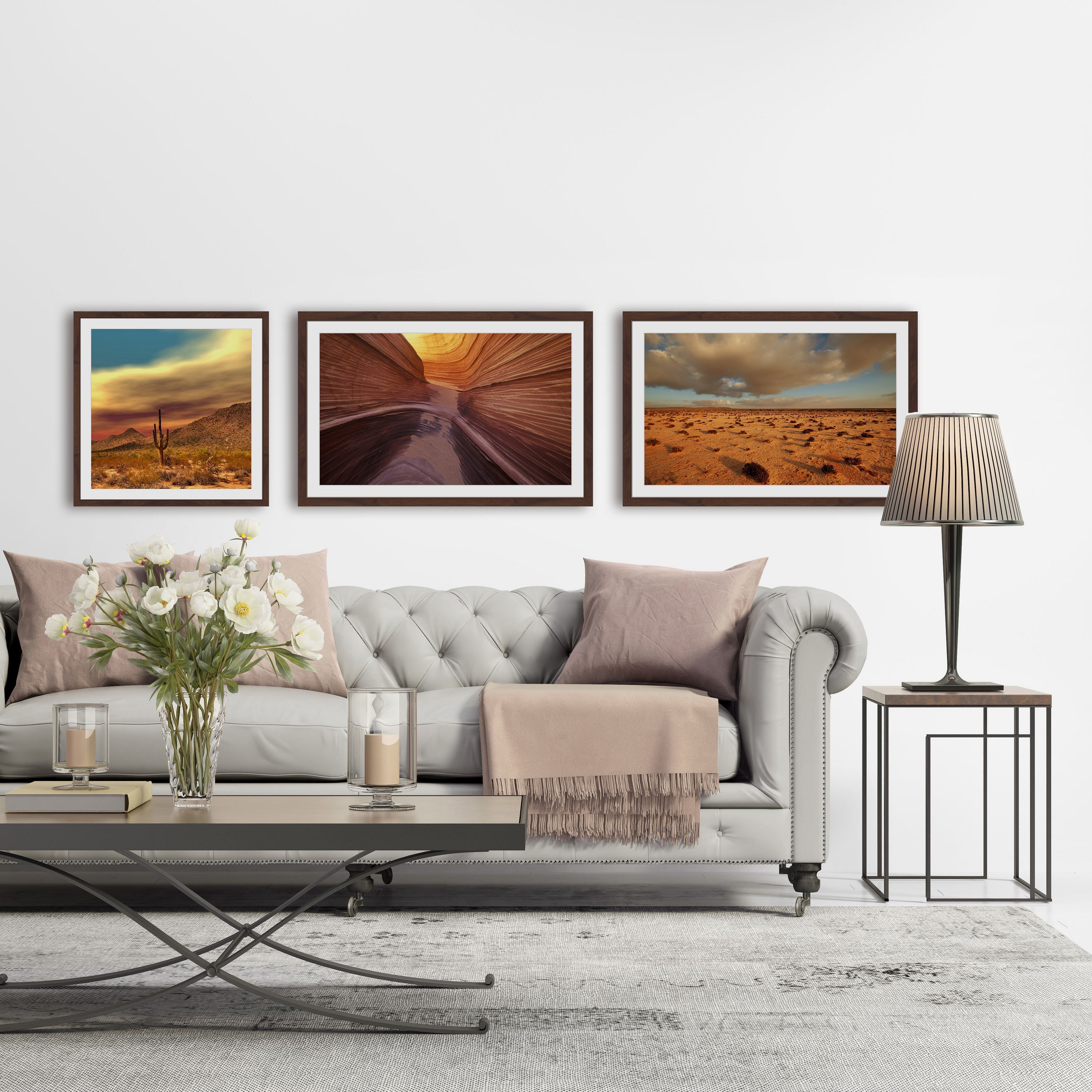 Desert Views Triptych