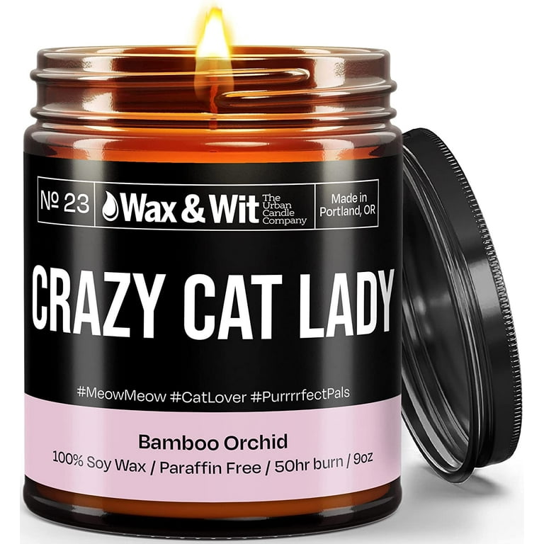 WAX & WIT Funny Candles, Aromatherapy Candle, Non Toxic Natural Candles,  Soy Wax Scented Candles Gifts for Women, Candles for Home Scented,  Housewarming Gift, Candles for Men and Women, Jar Candle 