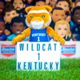 thumbnail image 2 of Bleacher Creatures University of Kentucky Wildcats Wildcat 10" Mascot Plush Figure, 2 of 5