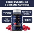 thumbnail image 5 of (2 pack) Vitamatic Shilajit with KSM-66® Ashwagandha & Ginseng 10,000 mg Equivalent Per Serving – Natural Raspberry Flavor – 60 Vegan Gummies - Made in USA, 5 of 12
