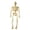 Beige, variant on 15cm Realistic Human Skeleton Miniature Hanging Tabletop Decor for Halloween Party Home Display Classroom Educational Prop