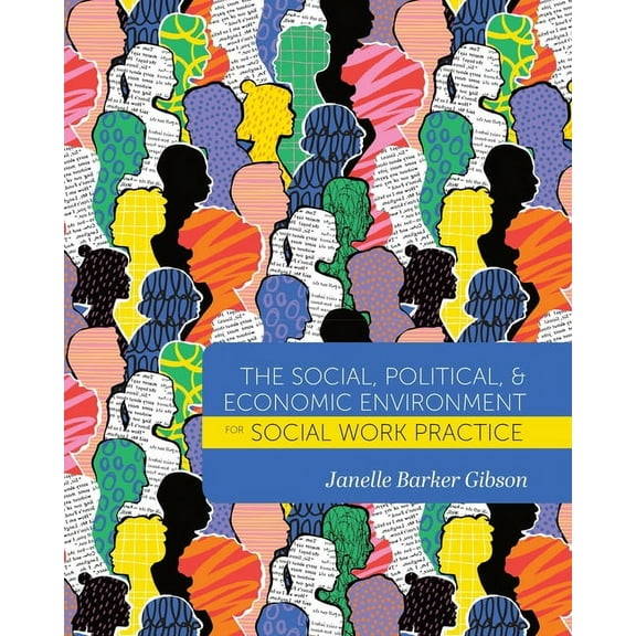 The Social, Political, and Economic Environment for Social Work Practice, (Paperback)