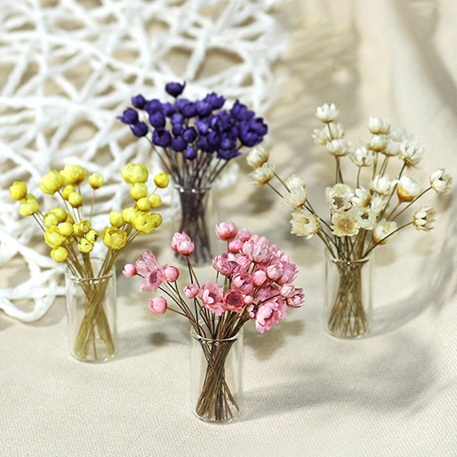  6 Pcs Dried Flowers for Crafts, Mini Dried Flowers with Stems  for Crafts Bulk, Dried Flowers for Vase : Home & Kitchen