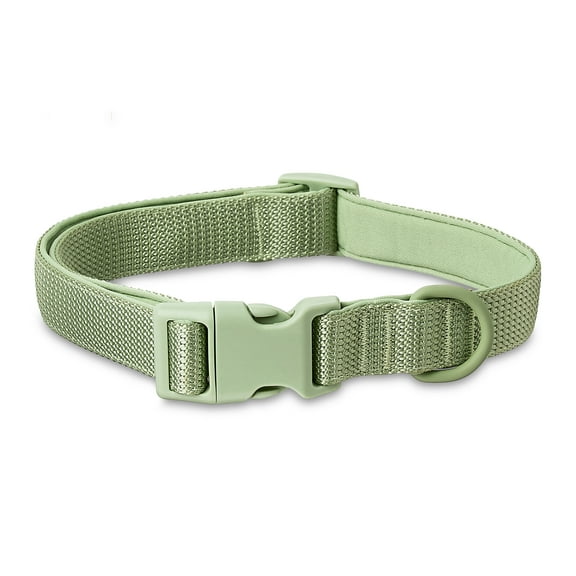 Vibrant Life Neoprene Cushioned Adjustable Dog Collar, Sage Green, Large