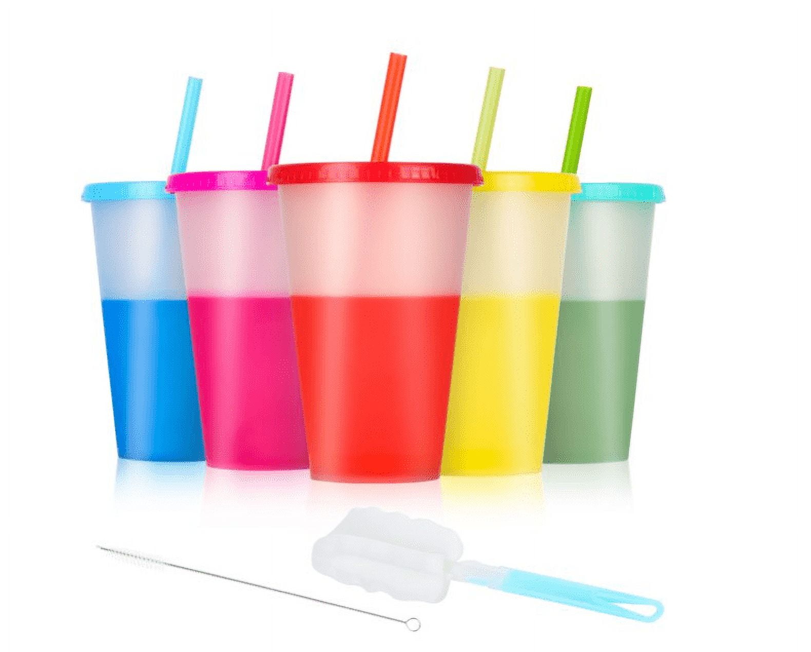Youngever 9 Sets 16 Ounce Plastic Cups with Lids and Straws, Reusable  Plastic Cups with Straws in 9 Assorted Colors