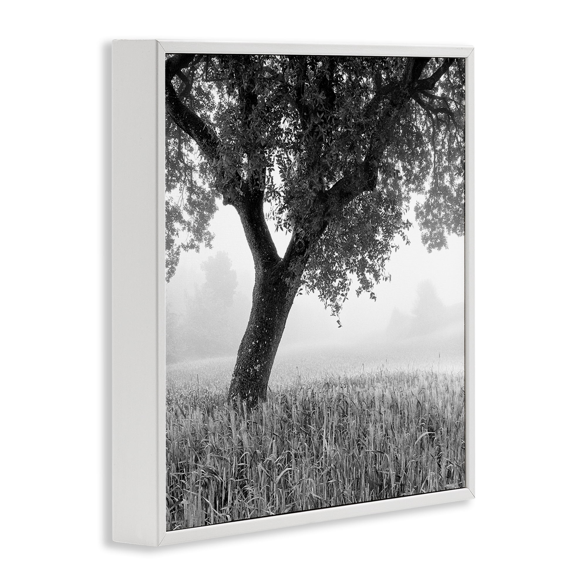 Stupell Industries Tuscan Morning Oak in Mist White Framed Giclee Art, design by Chip Forelli
