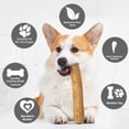 thumbnail image 3 of Natural Coffee Wood Dog Chew Stick, Caffeine-Free Java Wood Tough Chew Toy for Aggressive Chewers, Sustainable Dental Health Stick for Plaque Removal, S, 3 of 9