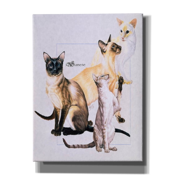 Epic Graffiti 'Siamese' by Barbara Keith, Canvas Wall Art, 12"x16"
