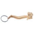 thumbnail image 4 of Human Spine Model Keychain Miniature Skeleton Keyring Handmade Gift for Doctors Students and Anatomical Collectors, 4 of 9