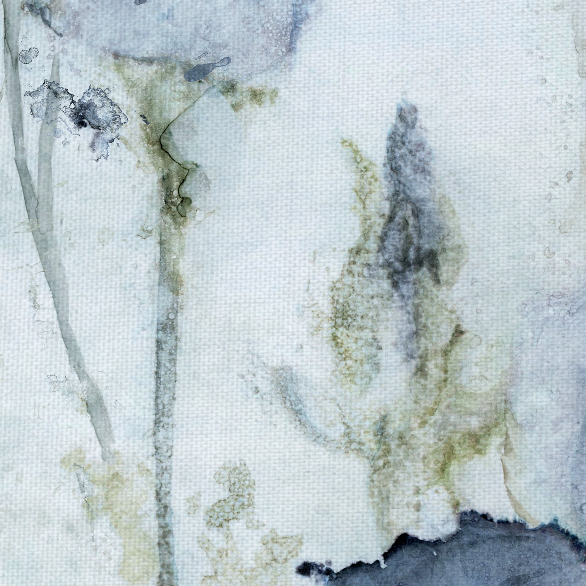 Masterpiece Art Gallery Morning Iris Blue by Carol Robinson Canvas Art Print 24" x 48"