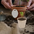 thumbnail image 4 of SHINYPASING 100pcs Grow Container Plant Markers Coffee Natural for Vegetables, 4 of 6