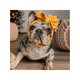 thumbnail image 3 of 1pc Pet Bow Headband, Funny Accessory For Cat And Dogs' Dress Up, 3 of 5