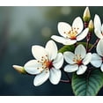 thumbnail image 4 of Beautiful White Flower Themed Backdrop Banner Party Decorations Background Photo Props for Garden Parties Spring Celebrations Weddings and Indoor Decor, 4 of 4