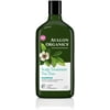 Scalp Treatment Tea Tree Shampoo 11 oz (Pack of 6)