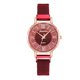 thumbnail image 1 of Juxiaoshou Reloj de moda para mujer Reloj de acero inoxidable Vestido casual Muñeca Cristal Wmkox8yii gfajkfgbkjabf721, 1 of 1