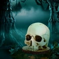 thumbnail image 3 of SDJMa Skull Knife Holder For Kitchen Storage, Horror Kitchen Storage Head Rack Kitchen, Scary Party Fruit Storage Rack Decor, Halloween Resin Skull Ornaments Gifts, Resin Knife Block Without Knives, 3 of 6