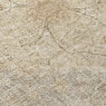 thumbnail image 2 of Dalyn Rugs Machine Washable Indoor/Outdoor Chantille ACN2136 Beige 1'8" x 2'6" Rug, 2 of 7