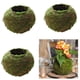 thumbnail image 1 of 3x Estilo Japonés Bola Bonsái Flor, Verde Sphagnum Sustrato Planta Hidratante en Macarena Moss Ball Maceta, 1 of 7