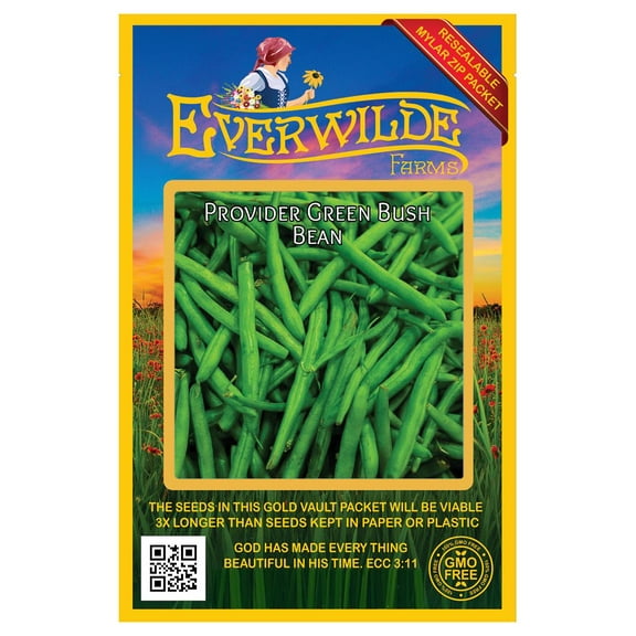 Everwilde Farms - 100 Provider Green Bush Bean Seeds - Gold Vault Jumbo Bulk Seed Packet