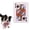 Print Q/1pcs, variant on Interactive Pet Newspaper Toy, Squeaky Interactive Crinkle Dog Toy,Durable Washable Bite-Resistant Pet Toys for Small Medium Dogs Poodle Teddy