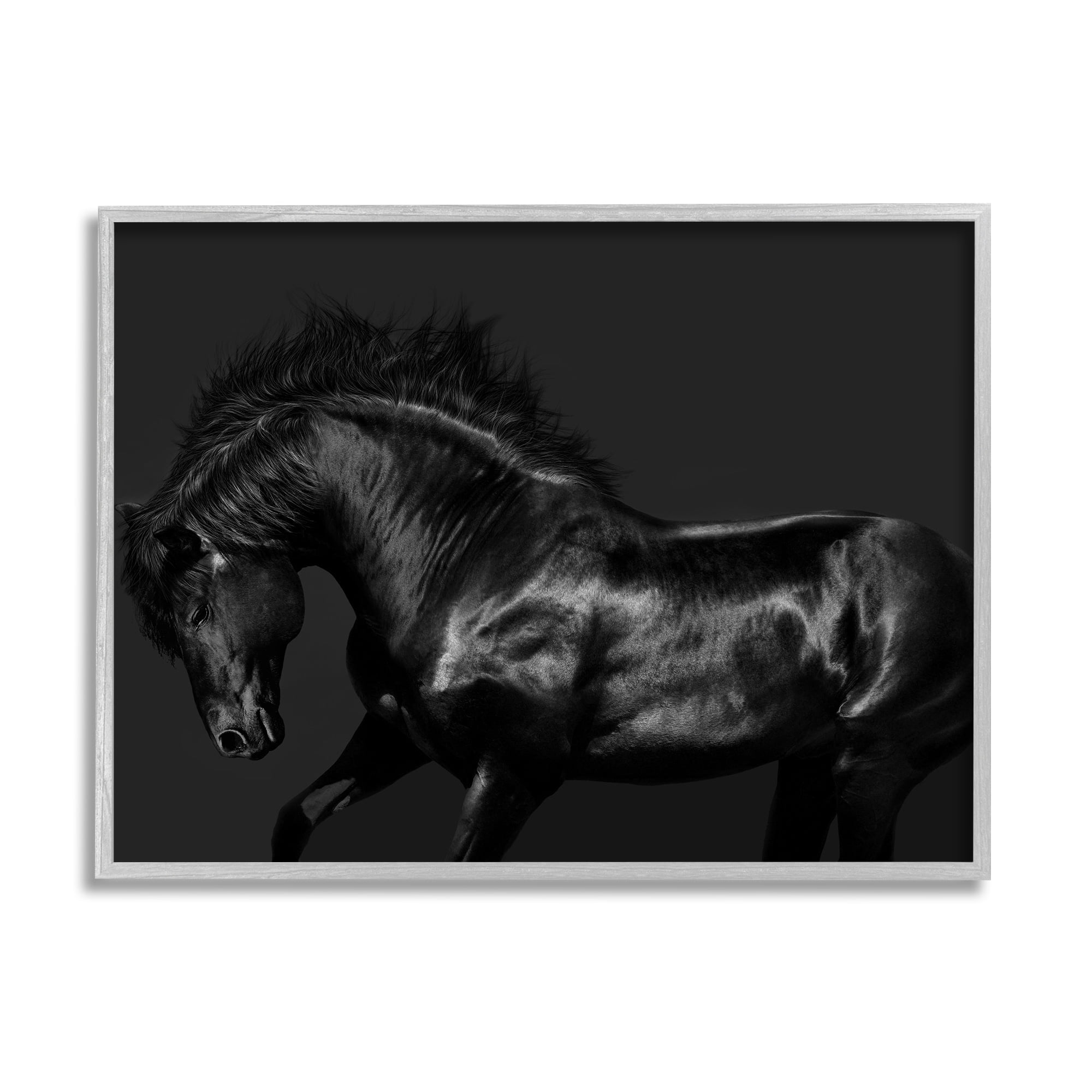 Stupell Industries Modern Black Horse Photography Wild Stallion Monochromatic, 30 x 24,Design by Samantha Carter