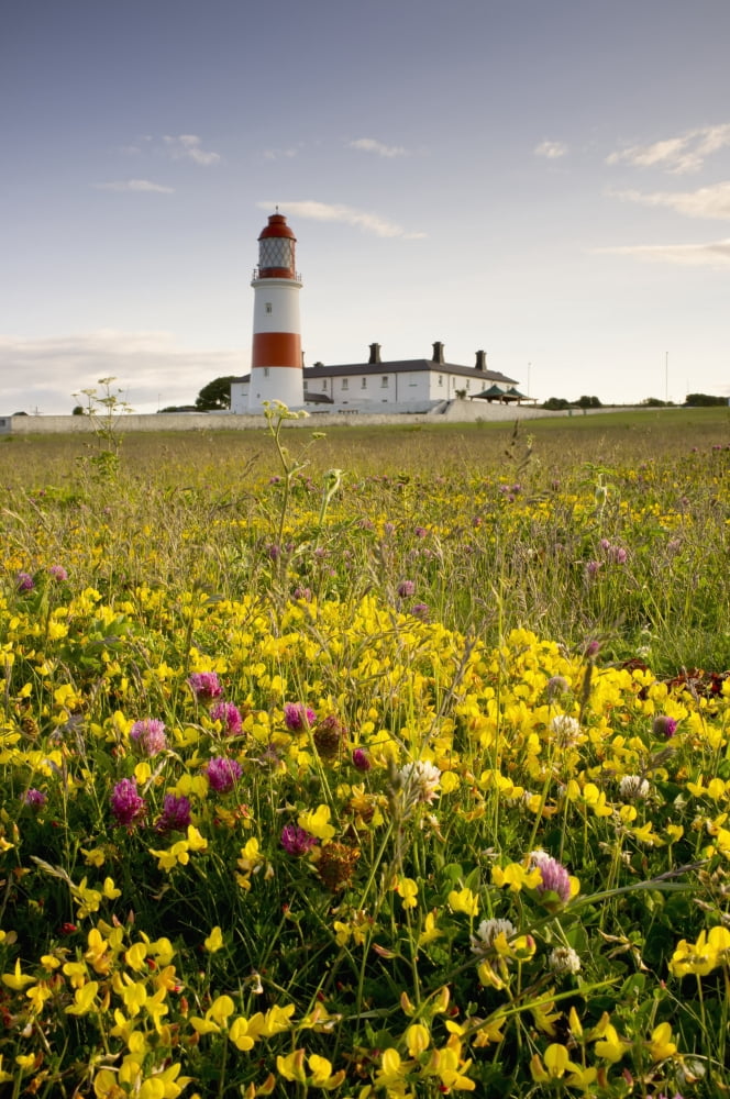 Souter Lighthouse S