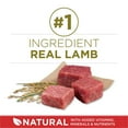thumbnail image 4 of Purina ONE Formule Agneau et Riz, Nourriture Sèche pour Chiens, 4 of 9
