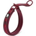 thumbnail image 1 of HAHDAXIA Nylon Dog Choke Collar, Wine, Large, 1 of 7