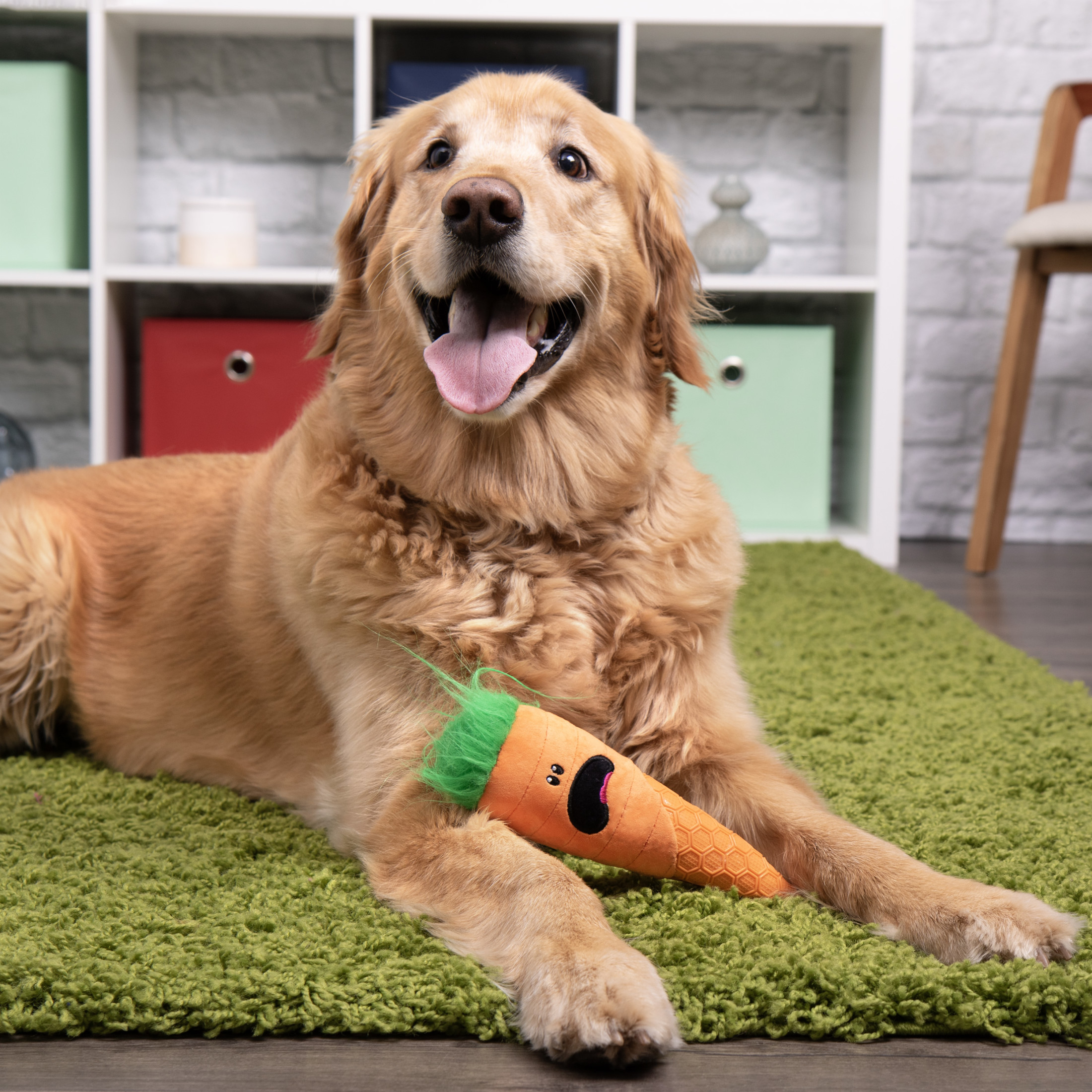 goDog Tough N Texture Carrot Durable Plush & Textured Silicone Squeaky Dog Toy with Chew Guard Technology, Medium, Orange