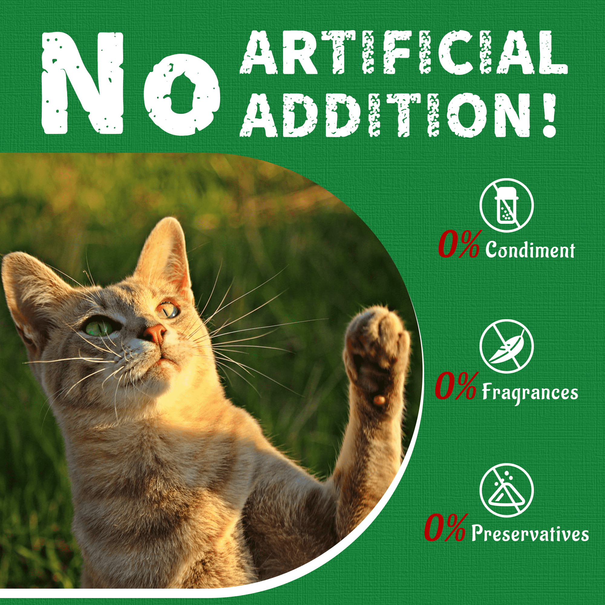 Just Try Cat Grass Treats, Natural Salmon Flavor, Healthy Cat Training Biscuits, Catnip, for Dental and Hairball Control, 13.4 oz