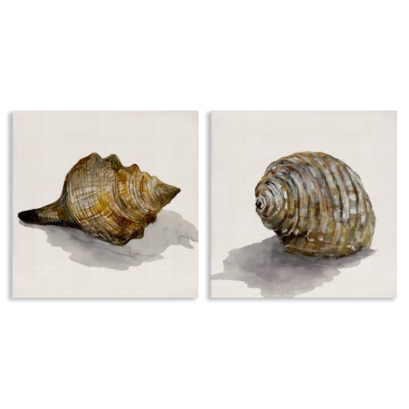 Stupell Industries Neutral Beach Shells Nautical & Beach Painting Wrapped Canvas Art Print Wall Art, 17 x 17, Set of 2