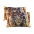 thumbnail image 1 of MKHERT Vintage Lion Animal Pillowcase Pillow Protector Cushion Cover 20x30 inch,Set of 2, 1 of 3