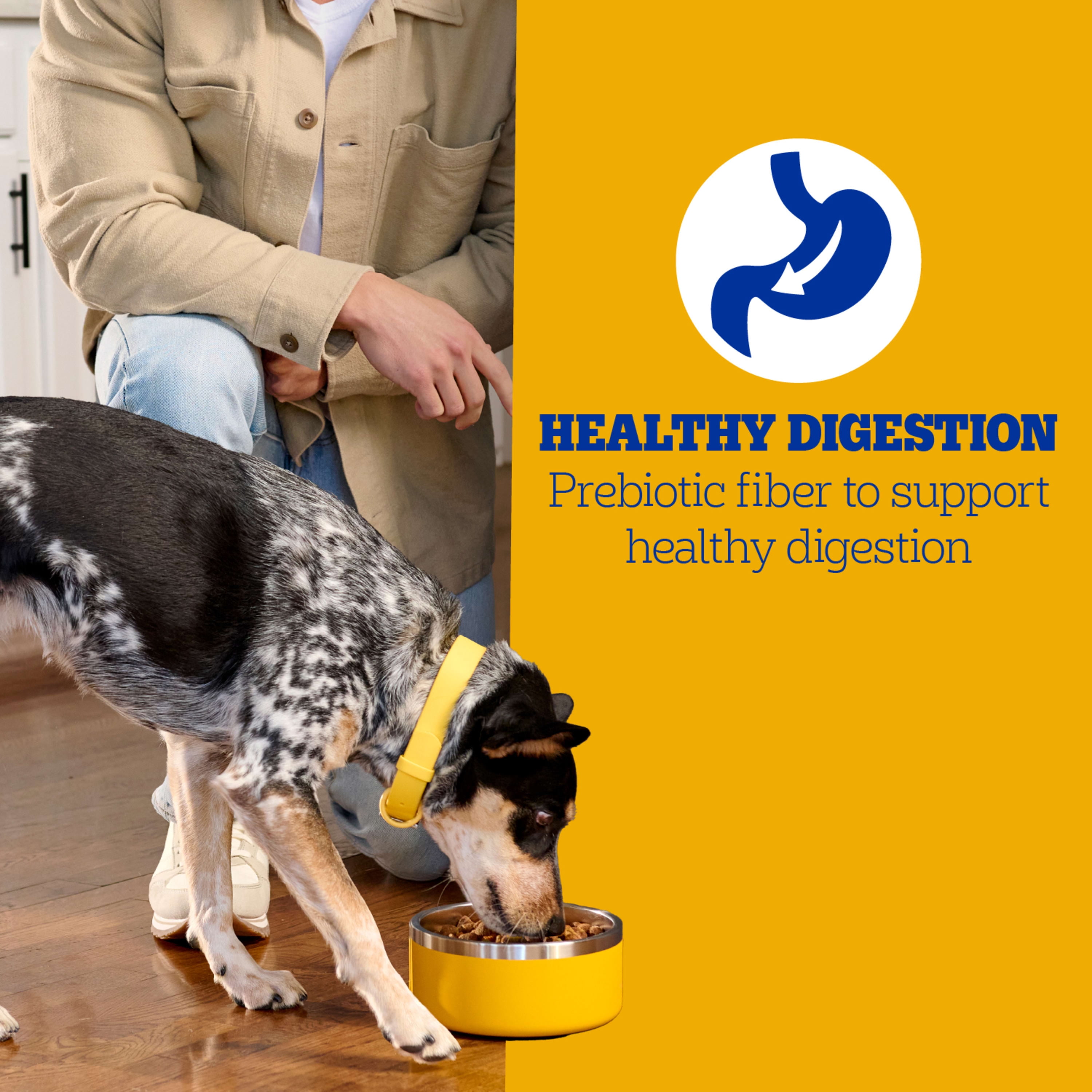 PEDIGREE Complete Nutrition Adult Dry Dog Food Roasted Lamb Flavor Dog Kibble, 16 lb. Bag