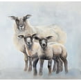 thumbnail image 2 of Atelier B Art Studio 12x12 White Modern Wood Framed Museum Art Print Titled - Ewe with Her Two Lambs, 2 of 4