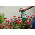 thumbnail image 4 of ONLINE Ortho Rose & Flower Insect Killer - Ready-To-Use Insecticide, 24 oz, 4 of 6