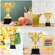 thumbnail image 4 of Trofeo Universal Infantil Trofeo Conmemorativo Adorno de Trofeo Grande, 4 of 7