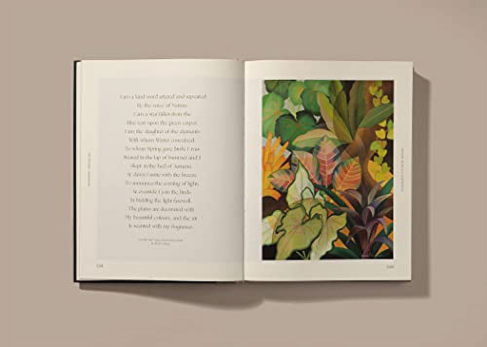 Botanical Inspiration: Nature in Art and Illustration (Hardcover