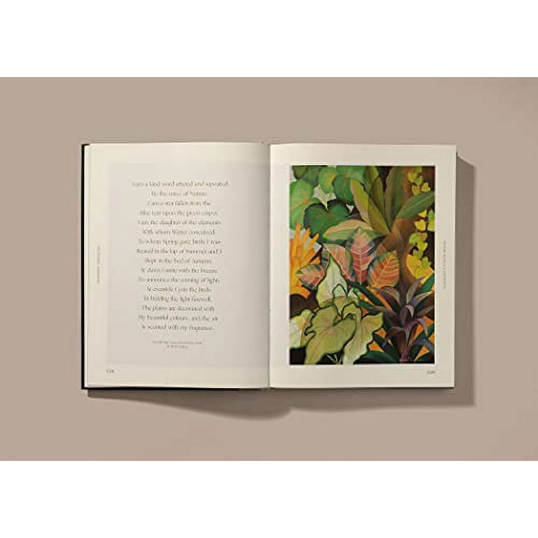Botanical Inspiration: Nature in Art and Illustration