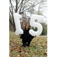 thumbnail image 4 of White Number 15 Balloon 40 inch, 15 Number Balloons, 15th White Birthday Decorations for Girls Boys 15 Year Old White Party Supplies, 4 of 18