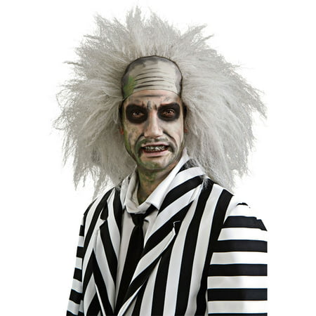 Morris Costumes Mens Tv & Movie Characters Beetlejuice Wig, Style RU51738