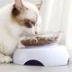 thumbnail image 3 of Billuyoard Cuencos elevados de comida para gatos para mejorar la postura y la digestión Cuenco elevado para gatos Cuencos para mascotas PP Type3 NO3, 3 of 6