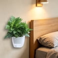 thumbnail image 6 of WWV Wall Mounted Hydroponic Planter ,Plants Holder Wall Pots for Indoor Plants ,Transparent Self Watering Flower Pot for Home Decor Office Home Garden Decoration Gift White, 6 of 6