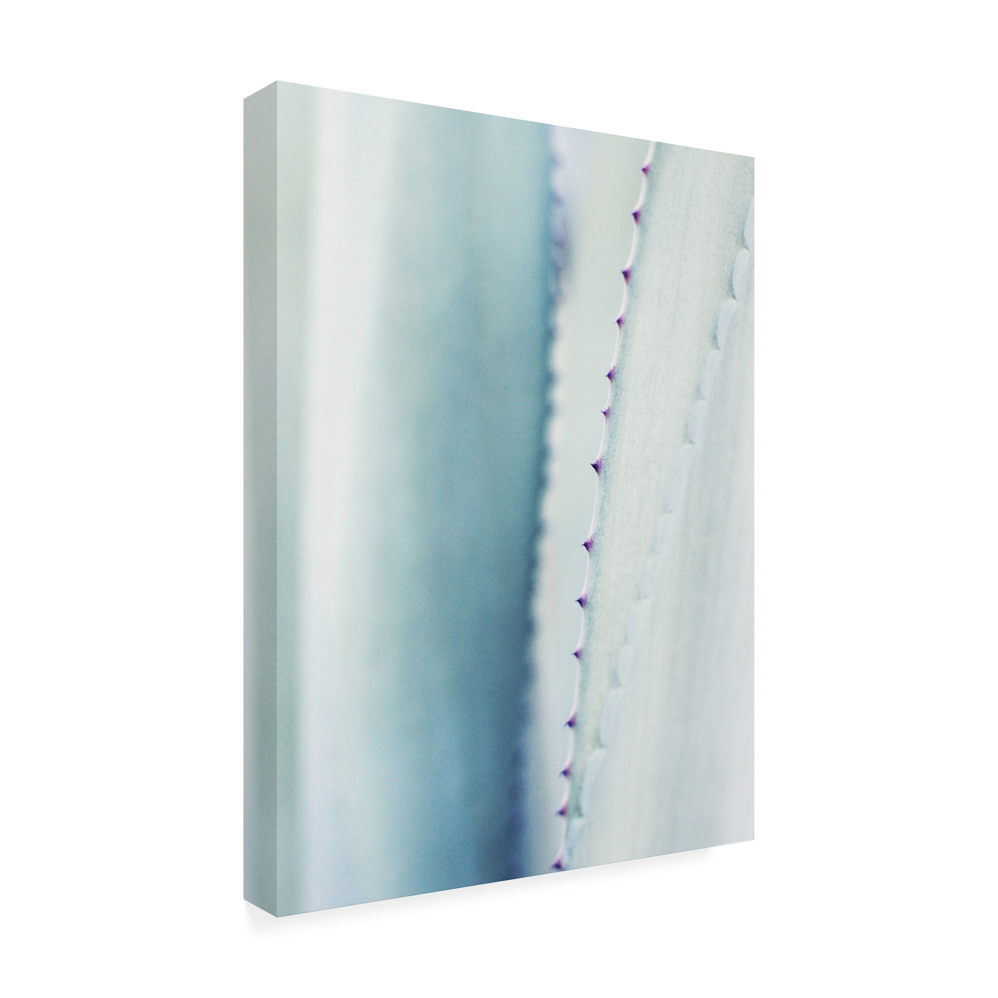 Trademark Fine Art 'Pale Blue Agave No. 2' Canvas Art by Lupen Grainn
