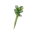 thumbnail image 2 of Mini flor de cristal, flor artificial, decoración coleccionable, decoración decorativa para Verde, 2 of 9