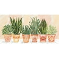 thumbnail image 2 of Jacobs, Cindy 18x11 White Modern Wood Framed Museum Art Print Titled - Aztec Potted Plants in a Row, 2 of 4
