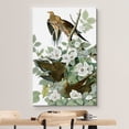 thumbnail image 3 of wall26 Canvas Print Wall Art Mourning Doves by John James Audubon Animals Birds Illustrations Modern Art Rustic Scenic Relax/Calm Multicolor Warm for Living Room, Bedroom, Office - 12"x18", 3 of 5