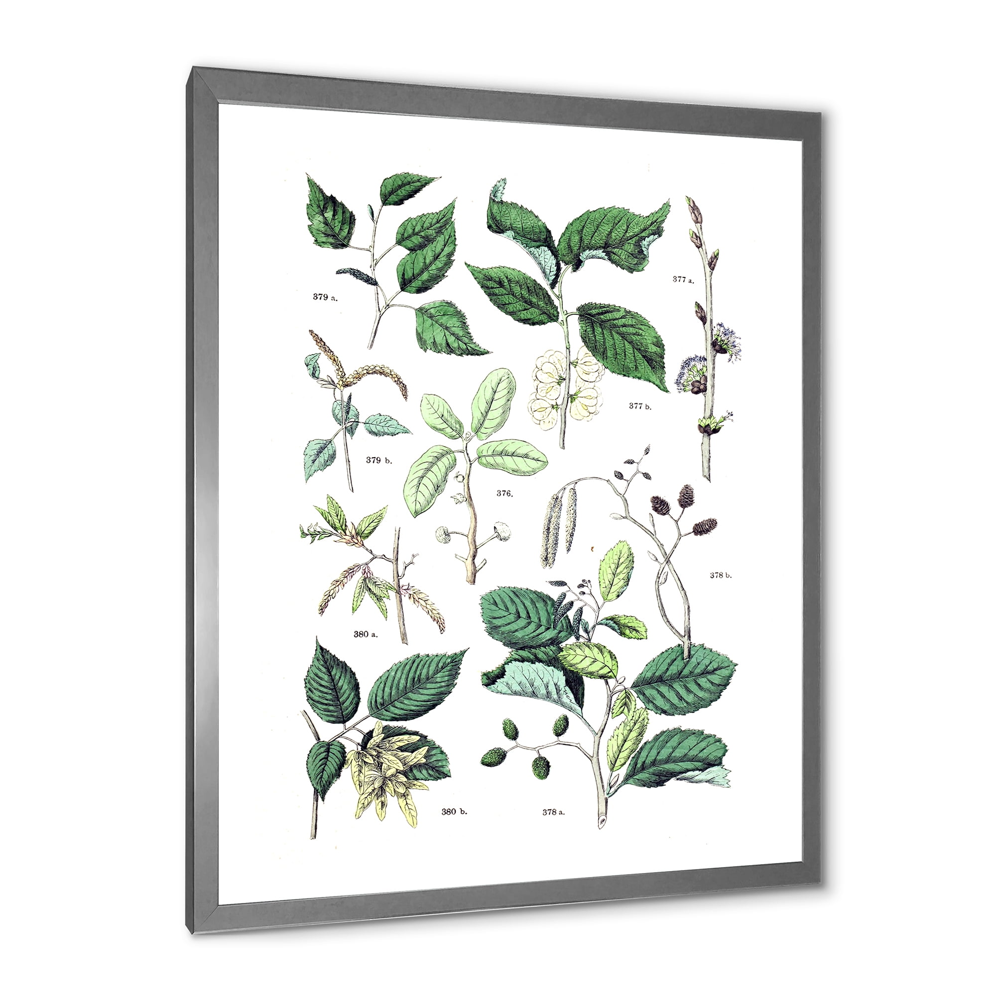 Designart 'Ancient Botanicals VIII' Traditional Framed Art Print