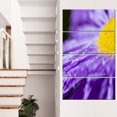 thumbnail image 1 of Large Violet Flower Petal Close up - Large Flower Canvas Wall Art, 1 of 3